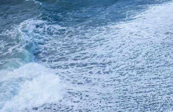 Ditching Platinum for the Ocean Could Make Hydrogen Cheap